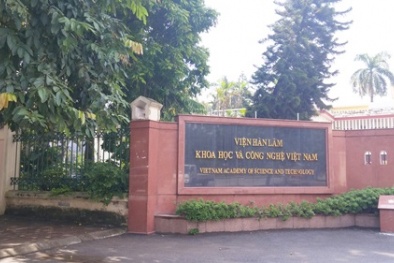 Viện Hàn lâm Khoa học và Công nghệ Việt Nam sẽ tổ chức họp báo theo quý